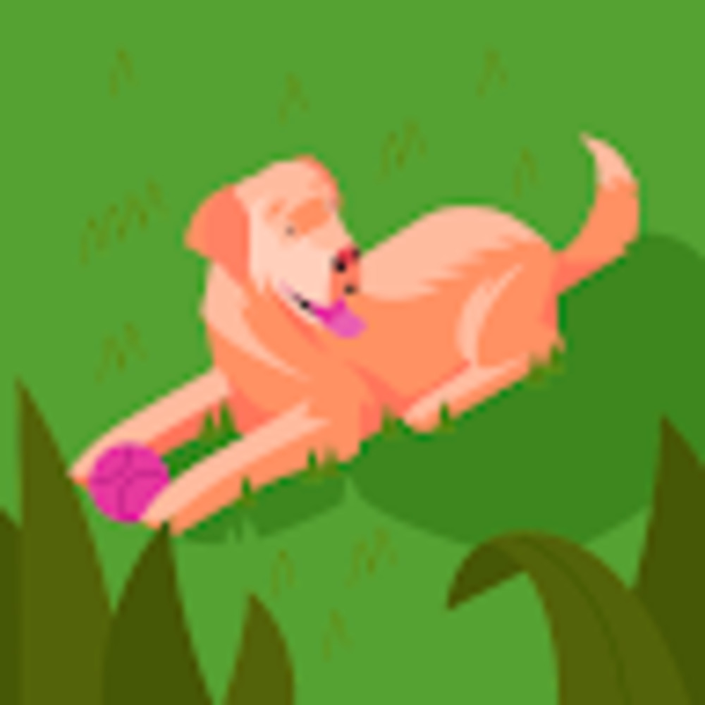 Meet your Posher, Lexie